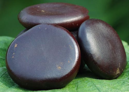 6205345905_d59a564256-160x160