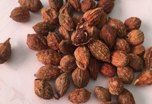 6205345905_d59a564256-160x160