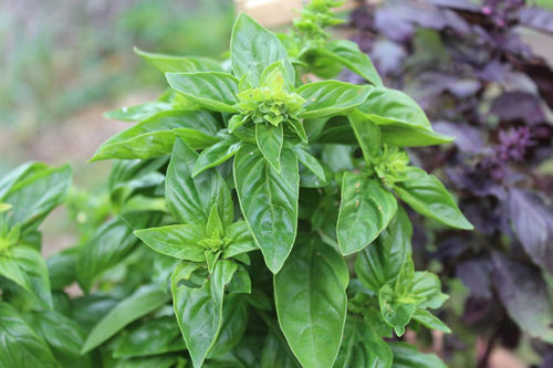 6205345905_d59a564256-160x160