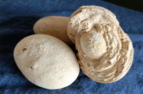 6205345905_d59a564256-160x160