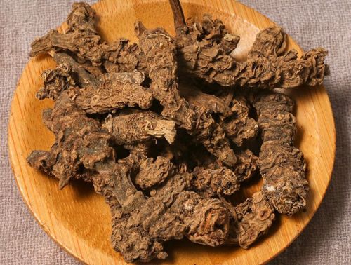 6205345905_d59a564256-160x160