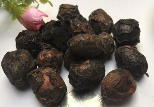 6205345905_d59a564256-160x160