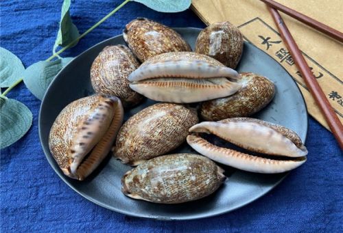 6205345905_d59a564256-160x160