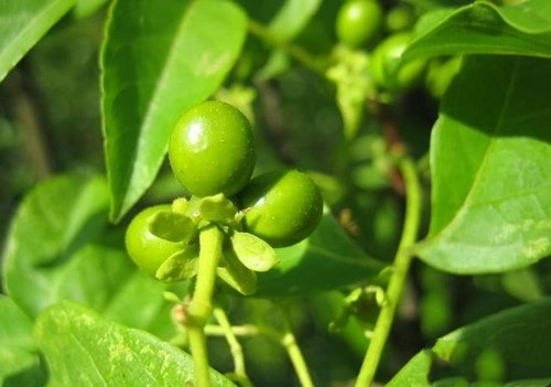 6205345905_d59a564256-160x160