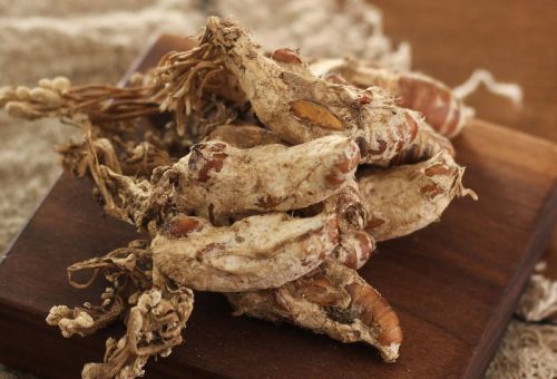 6205345905_d59a564256-160x160