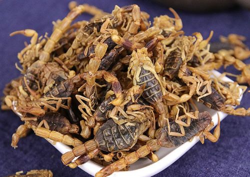 6205345905_d59a564256-160x160