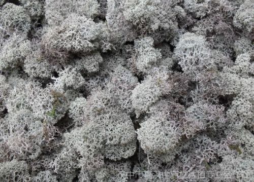 6205345905_d59a564256-160x160