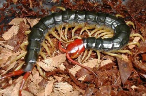 6205345905_d59a564256-160x160