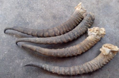 6205345905_d59a564256-160x160