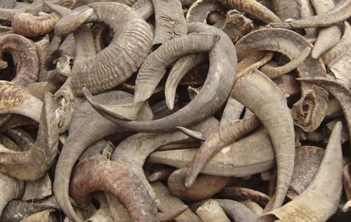 6205345905_d59a564256-160x160