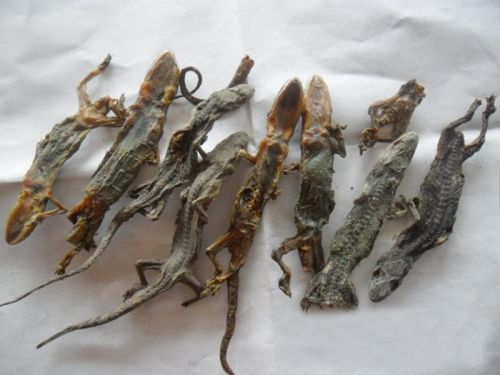 6205345905_d59a564256-160x160