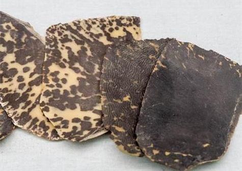 6205345905_d59a564256-160x160