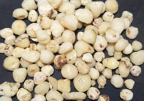 6205345905_d59a564256-160x160