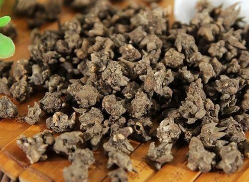 6205345905_d59a564256-160x160