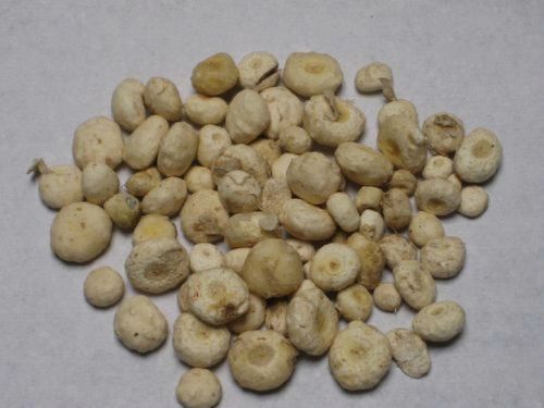 6205345905_d59a564256-160x160