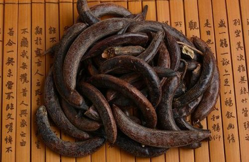 6205345905_d59a564256-160x160