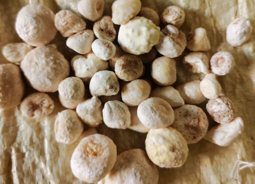 6205345905_d59a564256-160x160