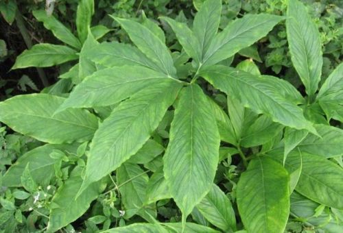 6205345905_d59a564256-160x160