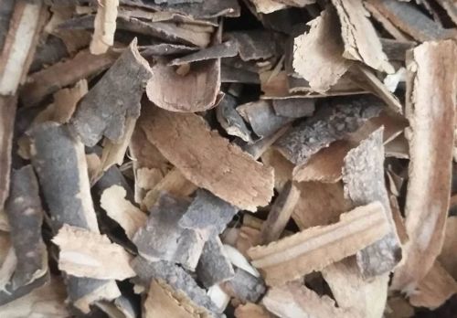 6205345905_d59a564256-160x160