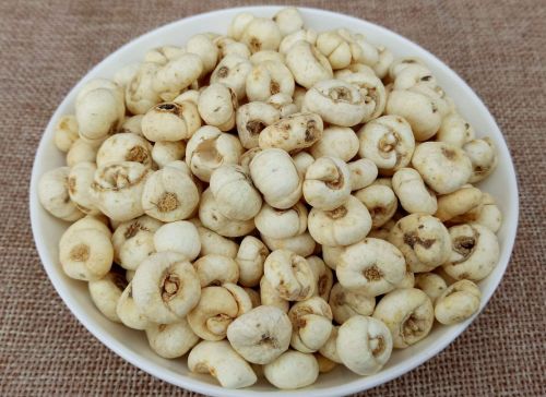 6205345905_d59a564256-160x160