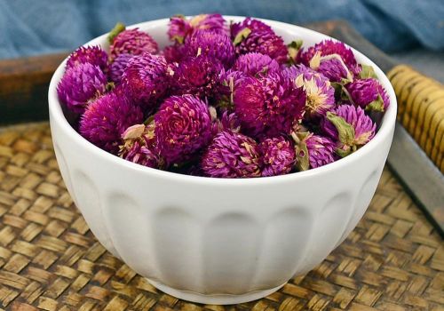 6205345905_d59a564256-160x160