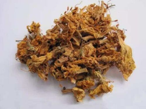 6205345905_d59a564256-160x160