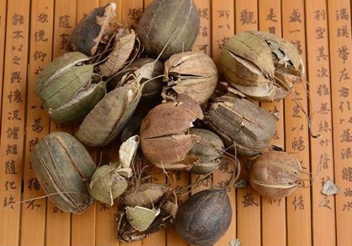 6205345905_d59a564256-160x160