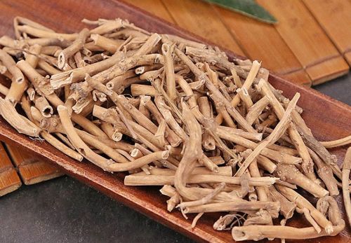 6205345905_d59a564256-160x160