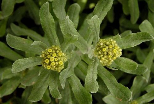 6205345905_d59a564256-160x160