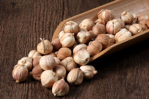 6205345905_d59a564256-160x160