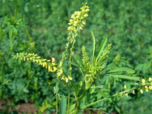 6205345905_d59a564256-160x160