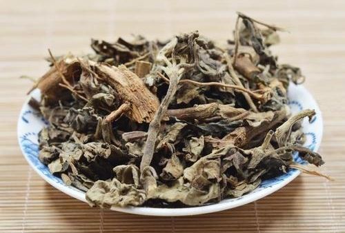 6205345905_d59a564256-160x160