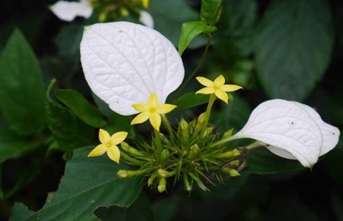 6205345905_d59a564256-160x160