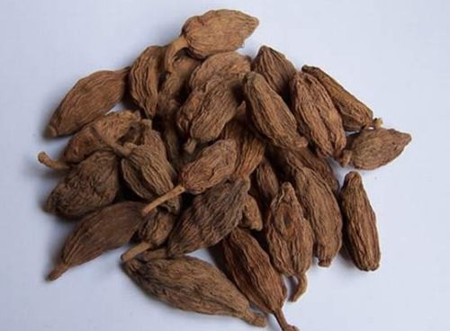 6205345905_d59a564256-160x160