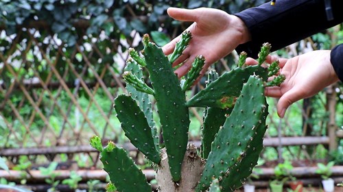 6205345905_d59a564256-160x160