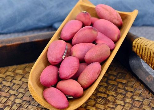 6205345905_d59a564256-160x160