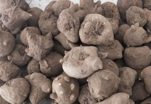 6205345905_d59a564256-160x160