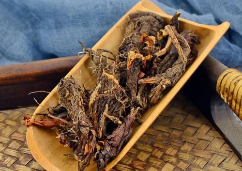 6205345905_d59a564256-160x160