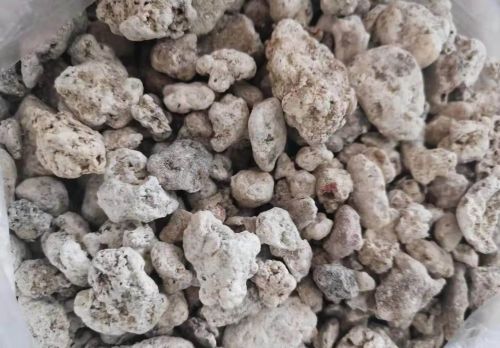 6205345905_d59a564256-160x160