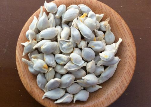 6205345905_d59a564256-160x160