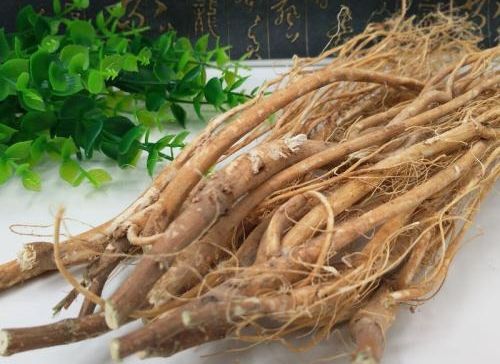 6205345905_d59a564256-160x160