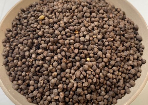 6205345905_d59a564256-160x160