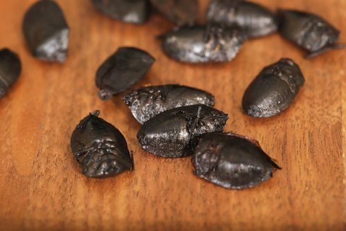 6205345905_d59a564256-160x160