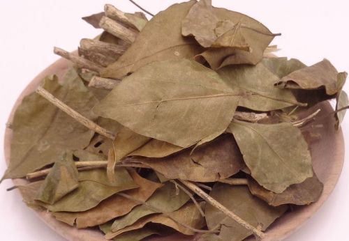 6205345905_d59a564256-160x160