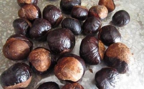 6205345905_d59a564256-160x160