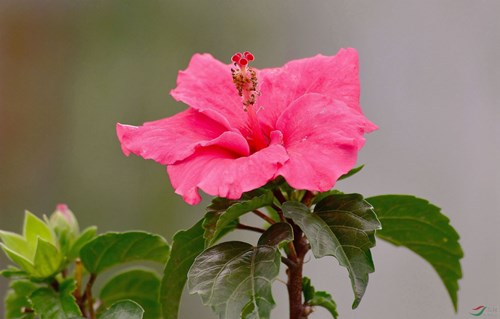 6205345905_d59a564256-160x160