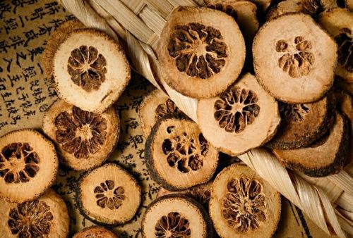 6205345905_d59a564256-160x160