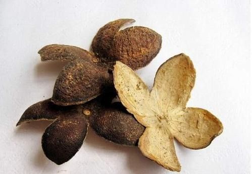 6205345905_d59a564256-160x160