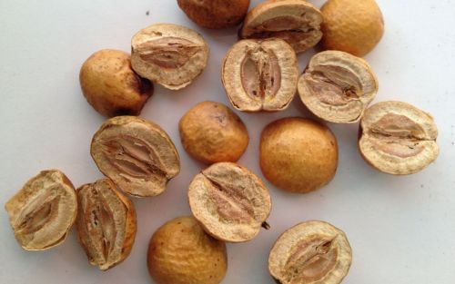 6205345905_d59a564256-160x160