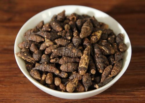 6205345905_d59a564256-160x160